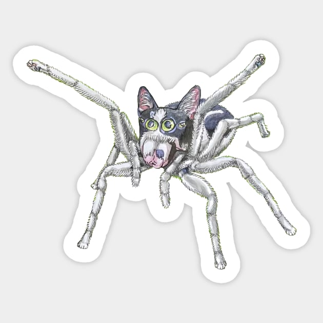 Jumping Spider Kitty Sticker by RaLiz